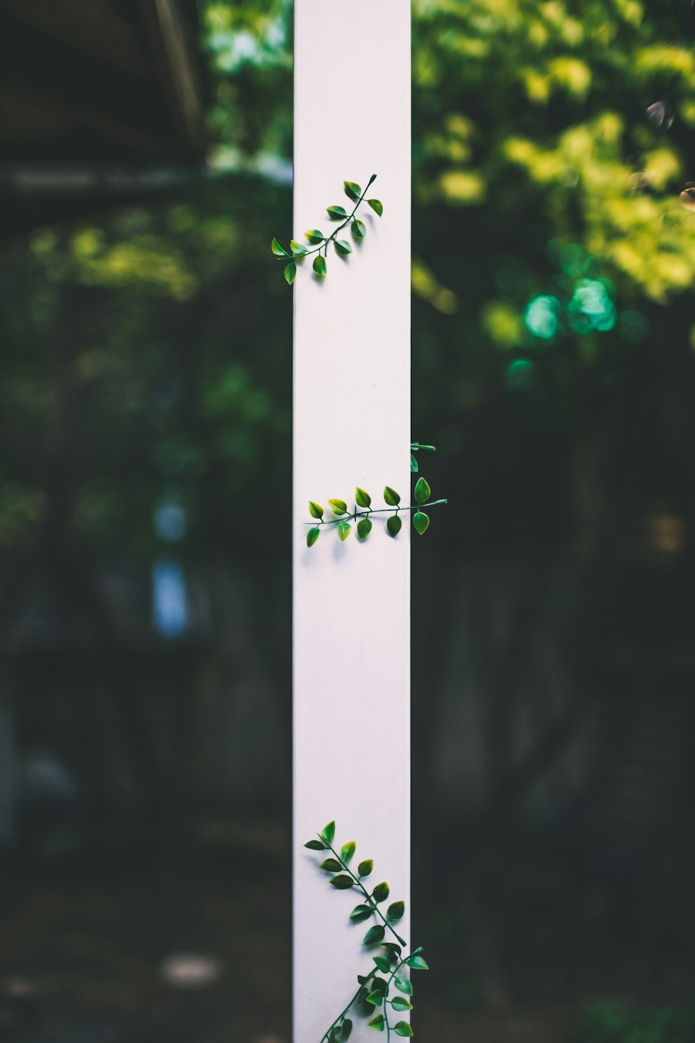 selective focus of white rod with green leaves