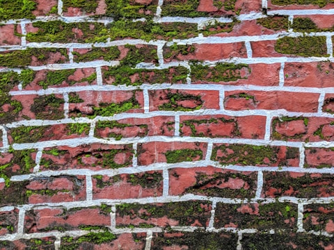A brick wall with a reddish texture and white mortar lines is interspersed with patches of green moss, giving it an aged and natural appearance.