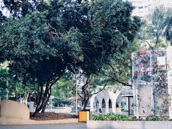 A lush green park area with large trees providing ample shade. In the background, a modern structure with arches is visible. The scene includes a sign partially covered with pink flowers, suggesting an inviting public space. The environment is calm and well-maintained.