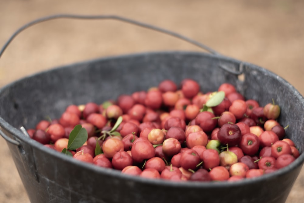 bucket of red fruit