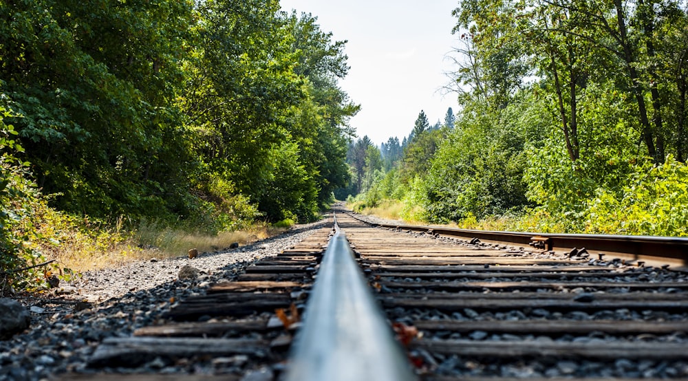 selective focus photography of train rail