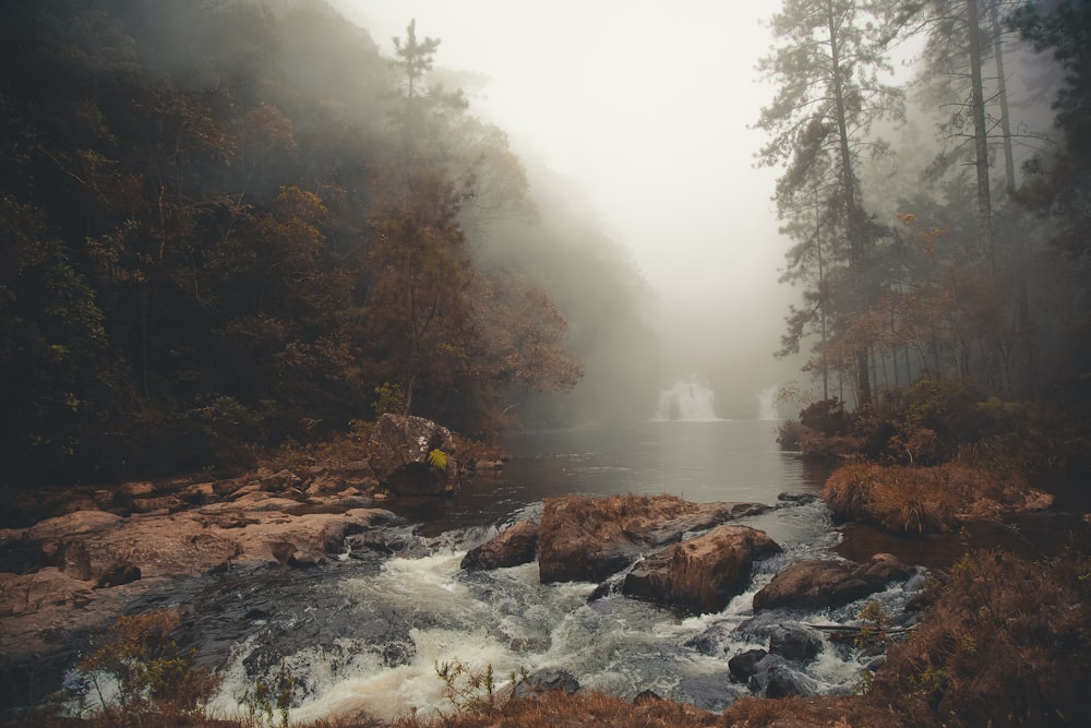 Aesthetic View Pictures Download Free Images On Unsplash