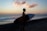 man holding surfboard in shoreline