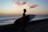 man holding surfboard in shoreline