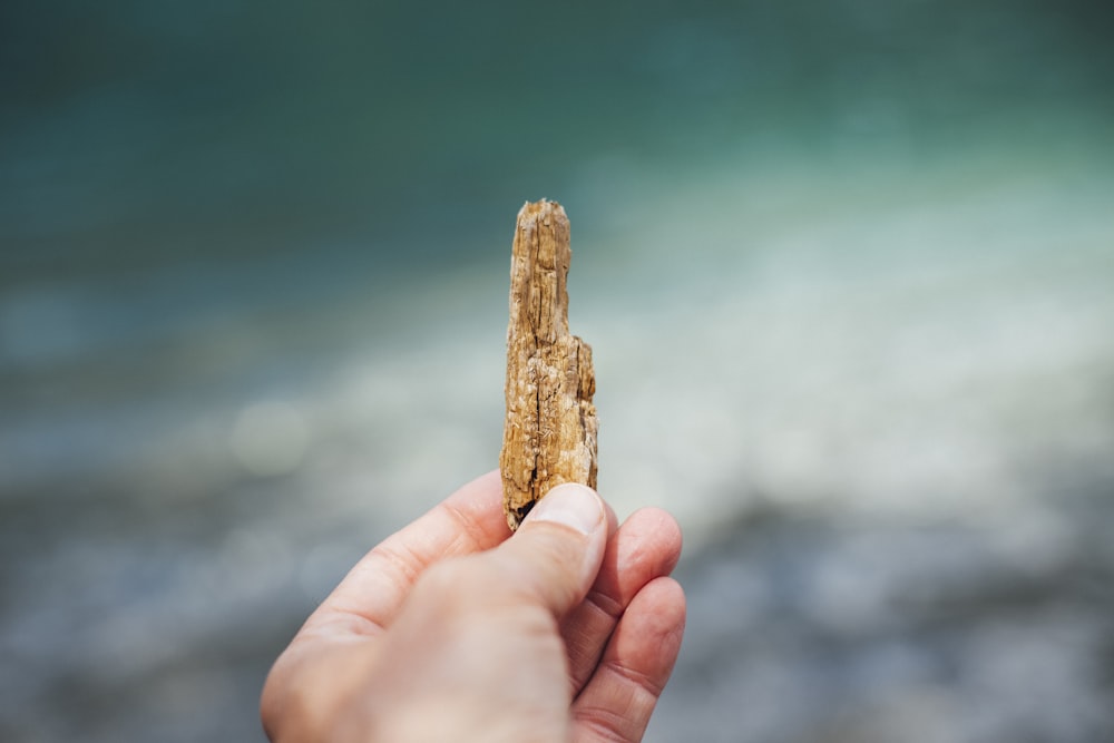 person holding brown wood