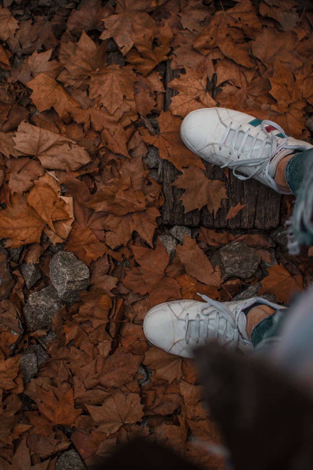 high-angle photography of person wearing white sneakers