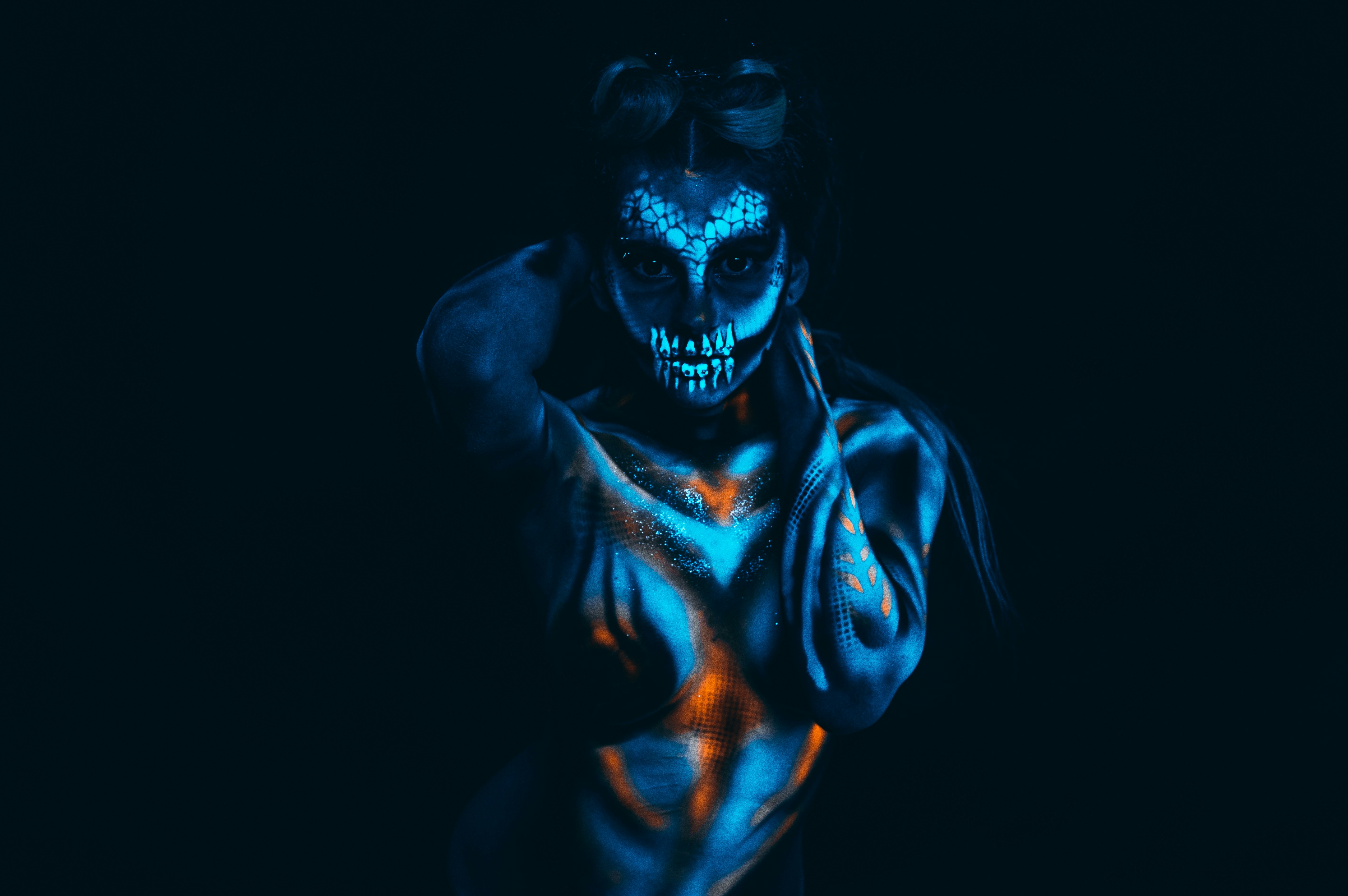 27 Dragon Pictures Download Free Images On Unsplash