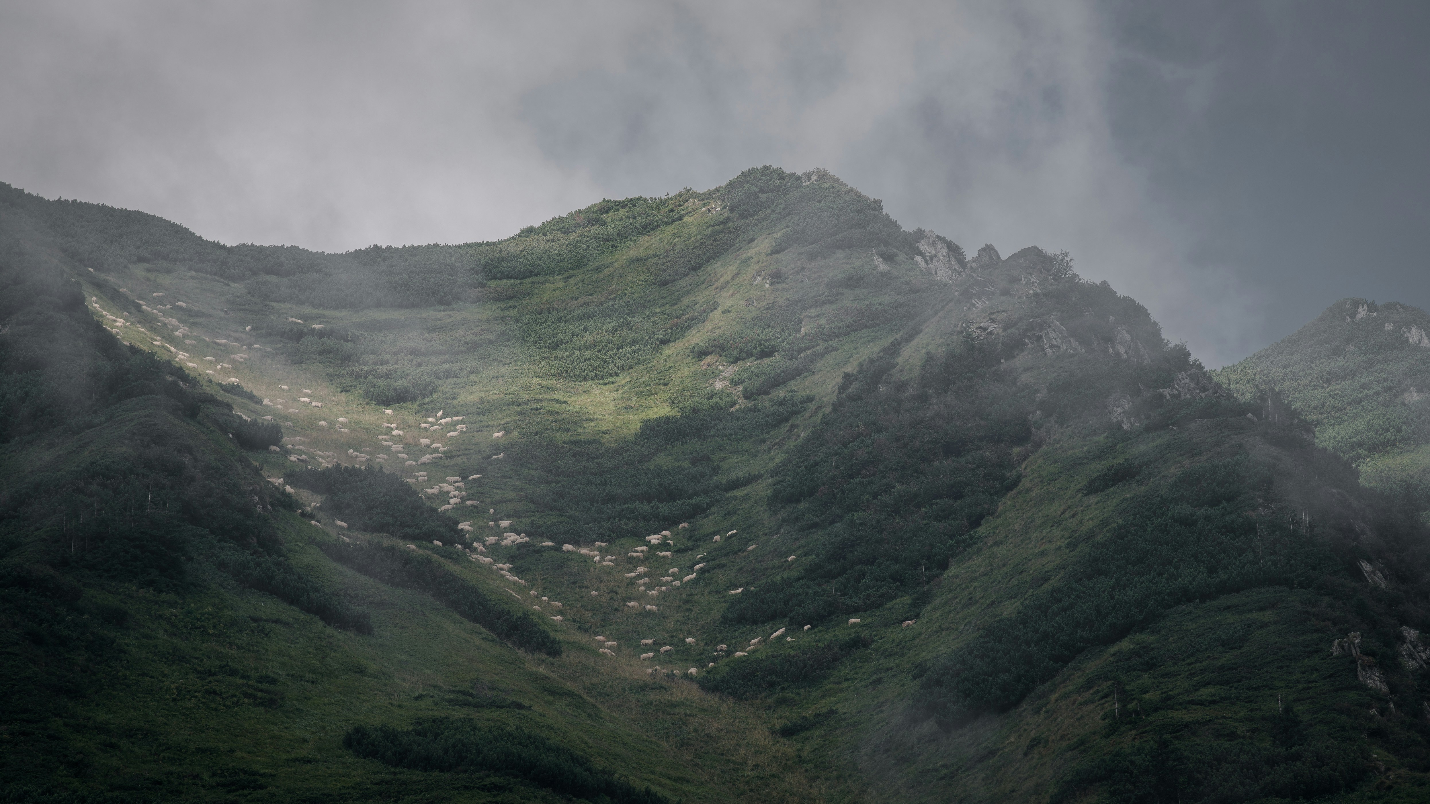 Photo by alexpadurariu