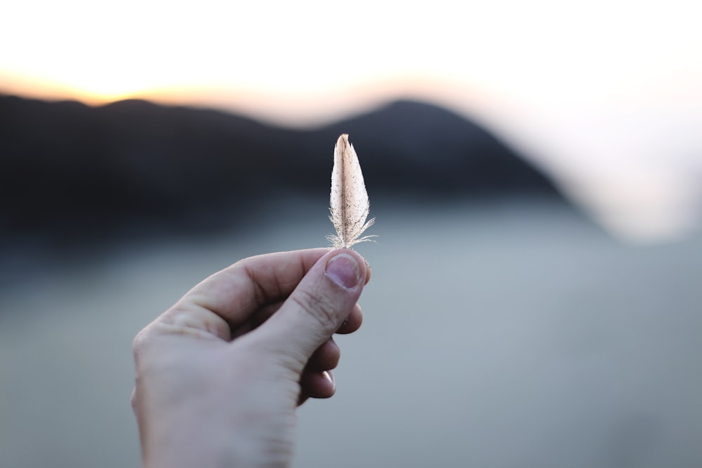 selective focus of person holding feather