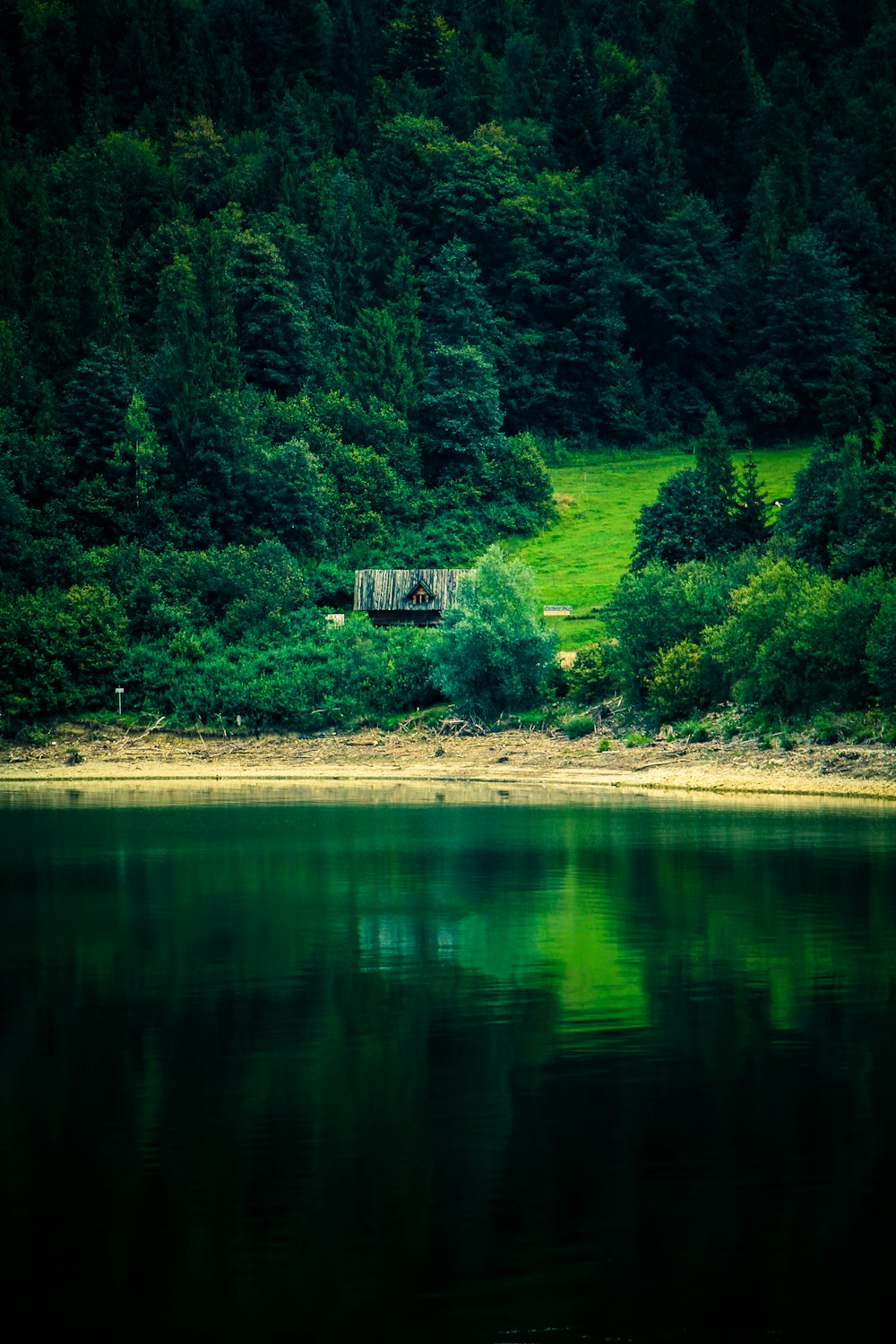gray house on grass field near body of water