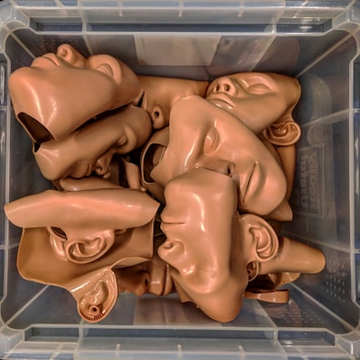 An array of silicone prosthetics in various shapes and sizes.