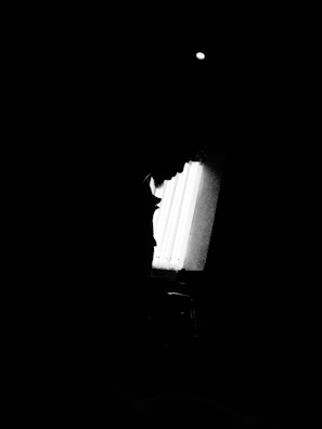 a high-contrast silhouette of a model framed against an obsidian backdrop