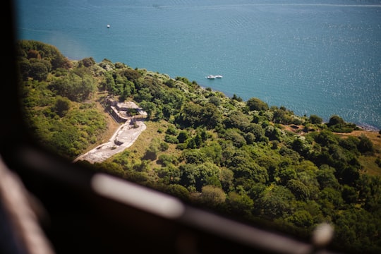 low angle photo of trees and body of water in Newport United States