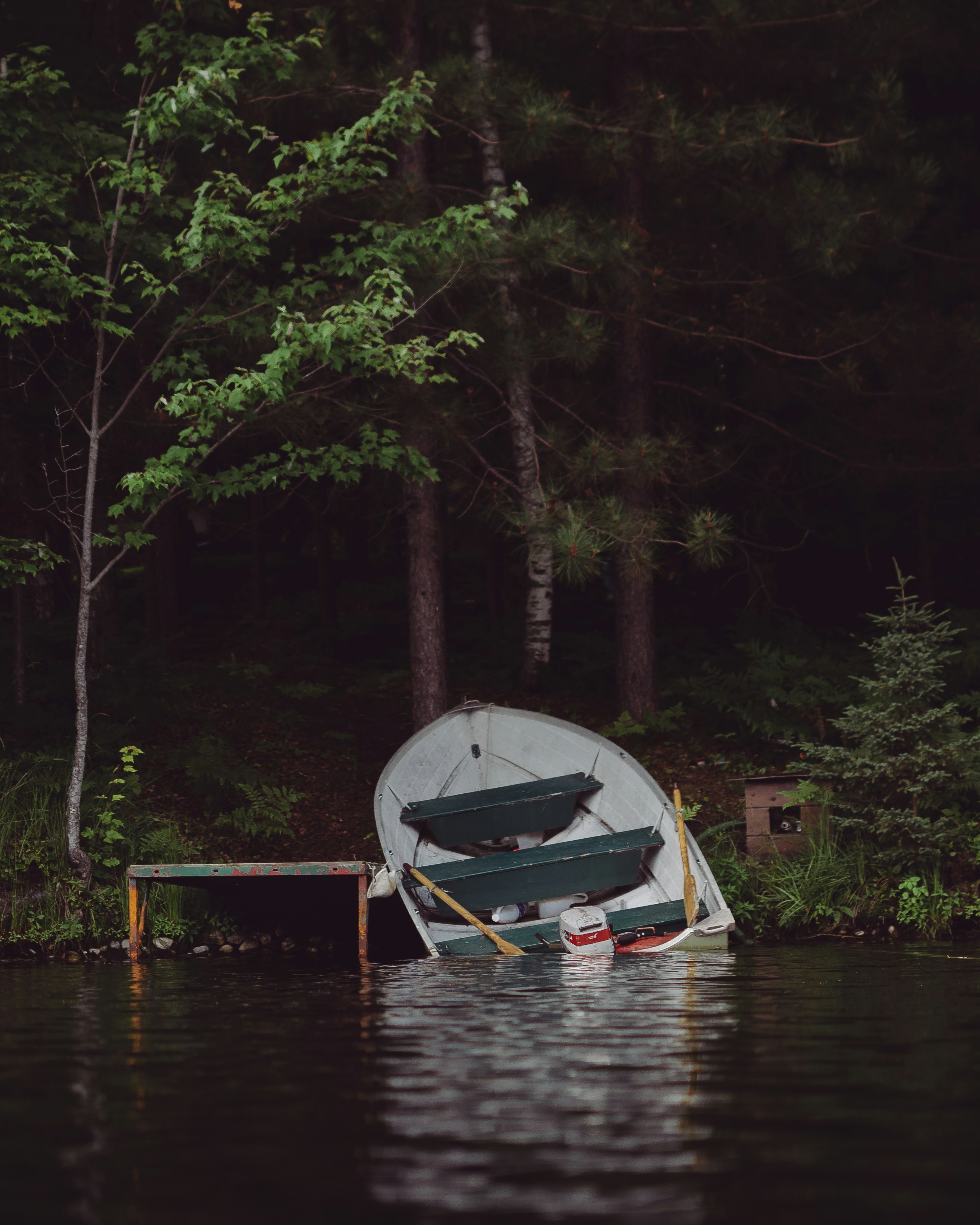 Taken along the shores of a tiny lake in Crystal Falls, MI during a peaceful morning kayak ride, this image features a lone boat that has long since been neglected.