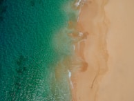wave of ocean seashore