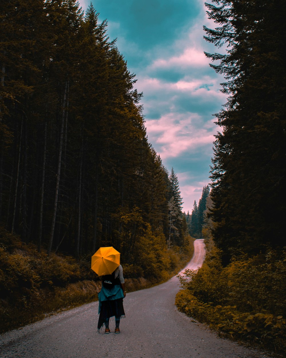 person walking on asphalt road