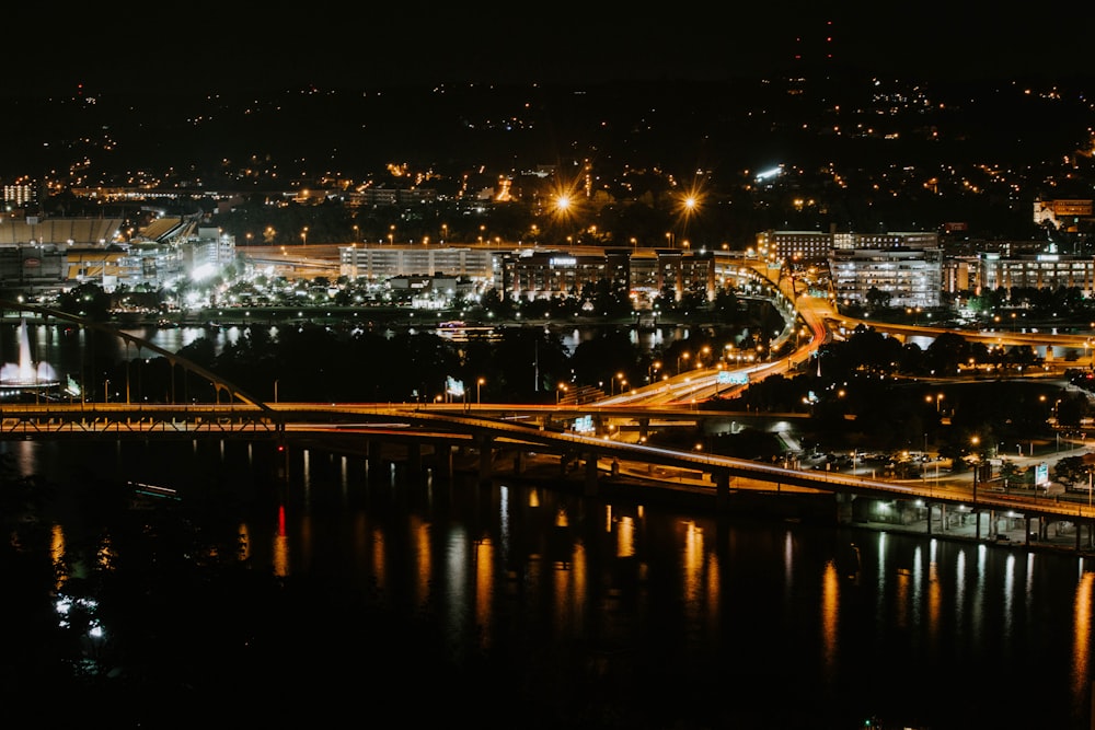 gray concrete bridge during night time