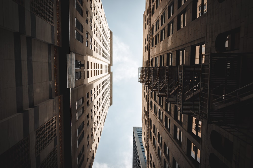 architectural photography of two high-rise buildings