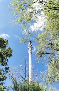 A tall communication tower rises through a canopy of green trees under a bright blue sky scattered with a few wispy clouds. The scene evokes a sense of height and connectivity amidst a natural setting.