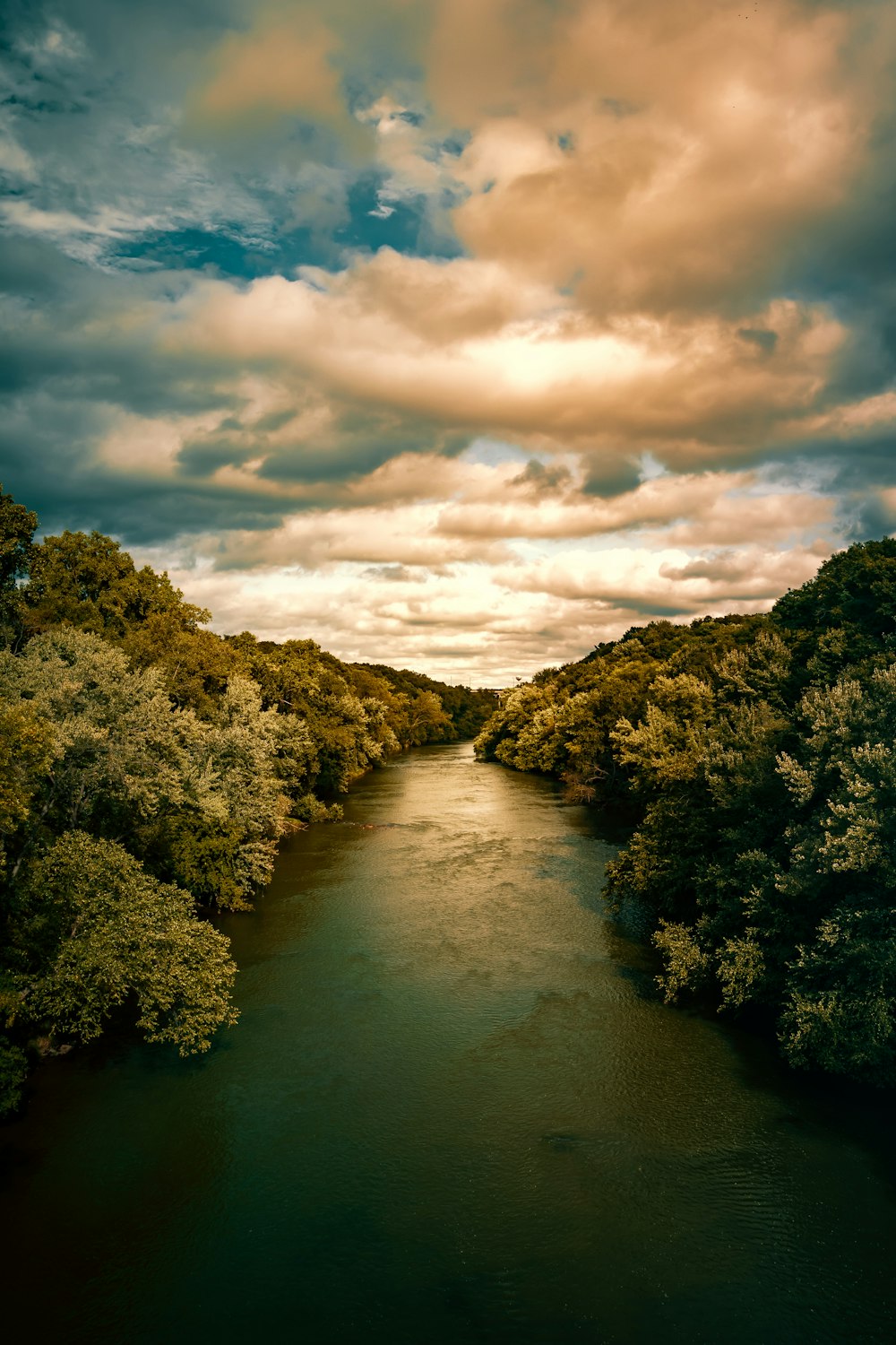 body of water between green leafed trees