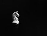 A white knight chess piece is prominently displayed against a dark background. The piece is well-defined and contrasts sharply with the surrounding shadows, emphasizing its shape and texture.