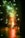 A burst of fireworks illuminates the dark surroundings with vibrant sparks and bright colors. The ground reflects the glow, and a nearby brick wall is partially visible on the right. Smoke trails and star-like sparkles fill the air, creating a lively and energetic visual display.