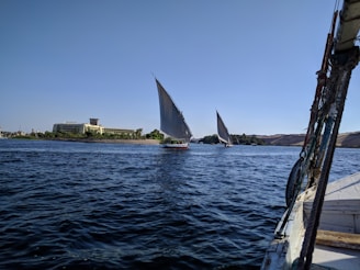 A serene scene on a river with two traditional sailboats gliding through the water. The sails are prominently capturing the wind, leaning at an elegant angle. In the background, a shoreline is visible with a large building labeled 'Movenpick', surrounded by greenery. The sky is clear and blue, adding to the peaceful ambience.