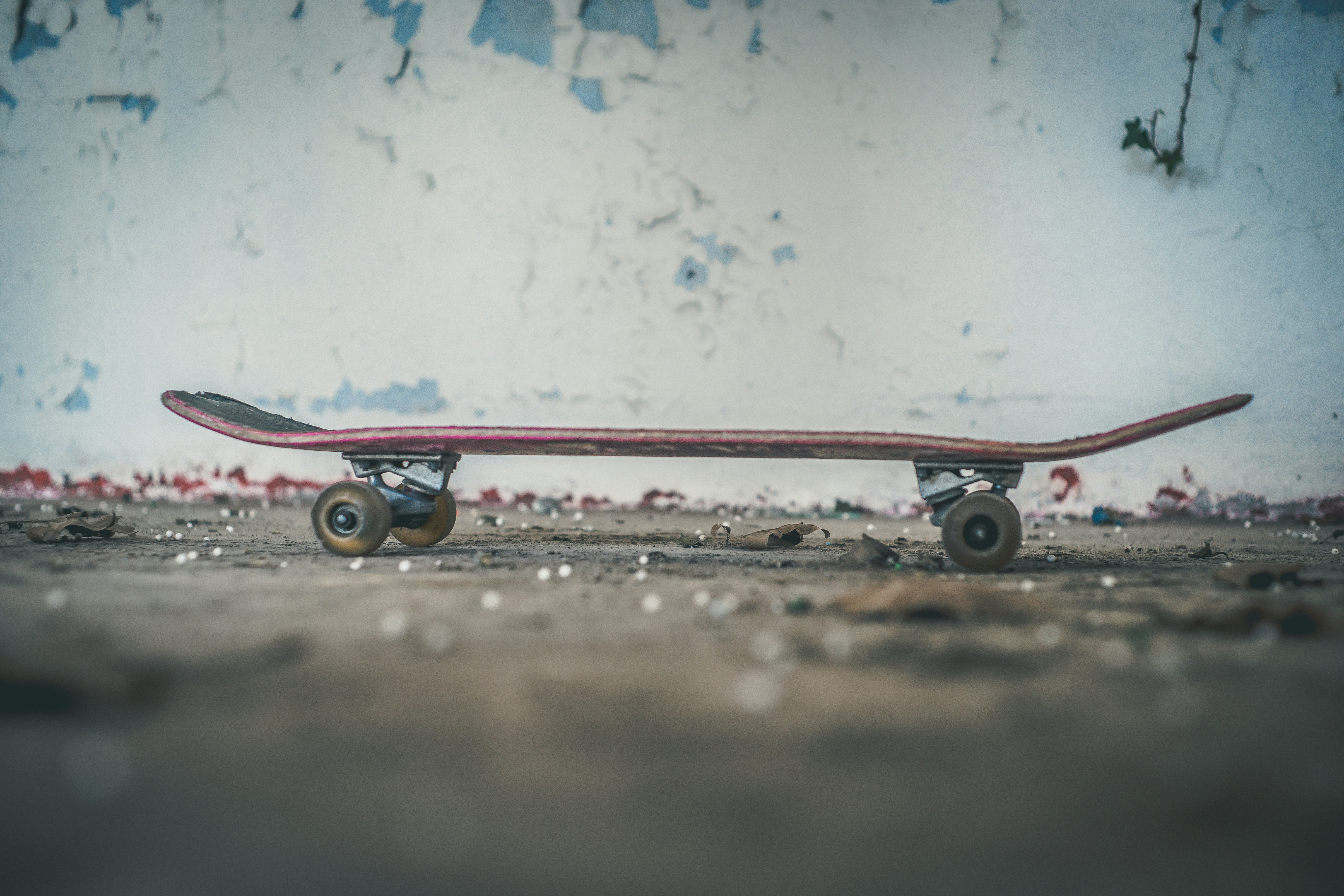 black skateboard near white wall