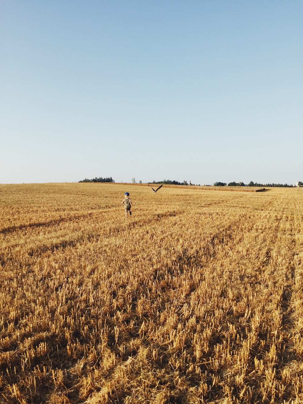 Persona corriendo en el campo de cultivo