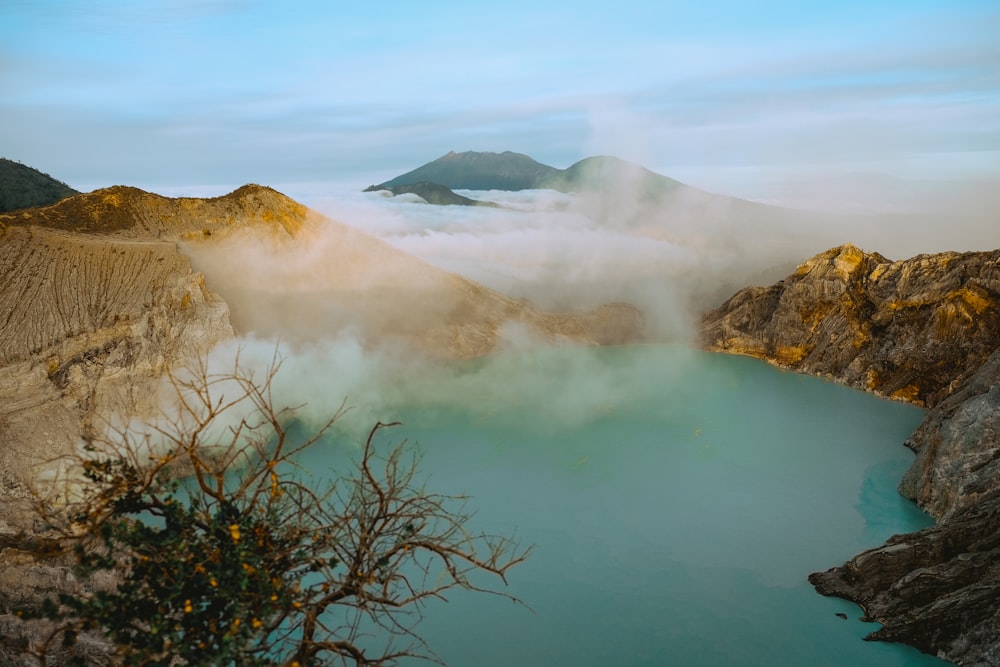 árbol sin hojas en el lago durante el día