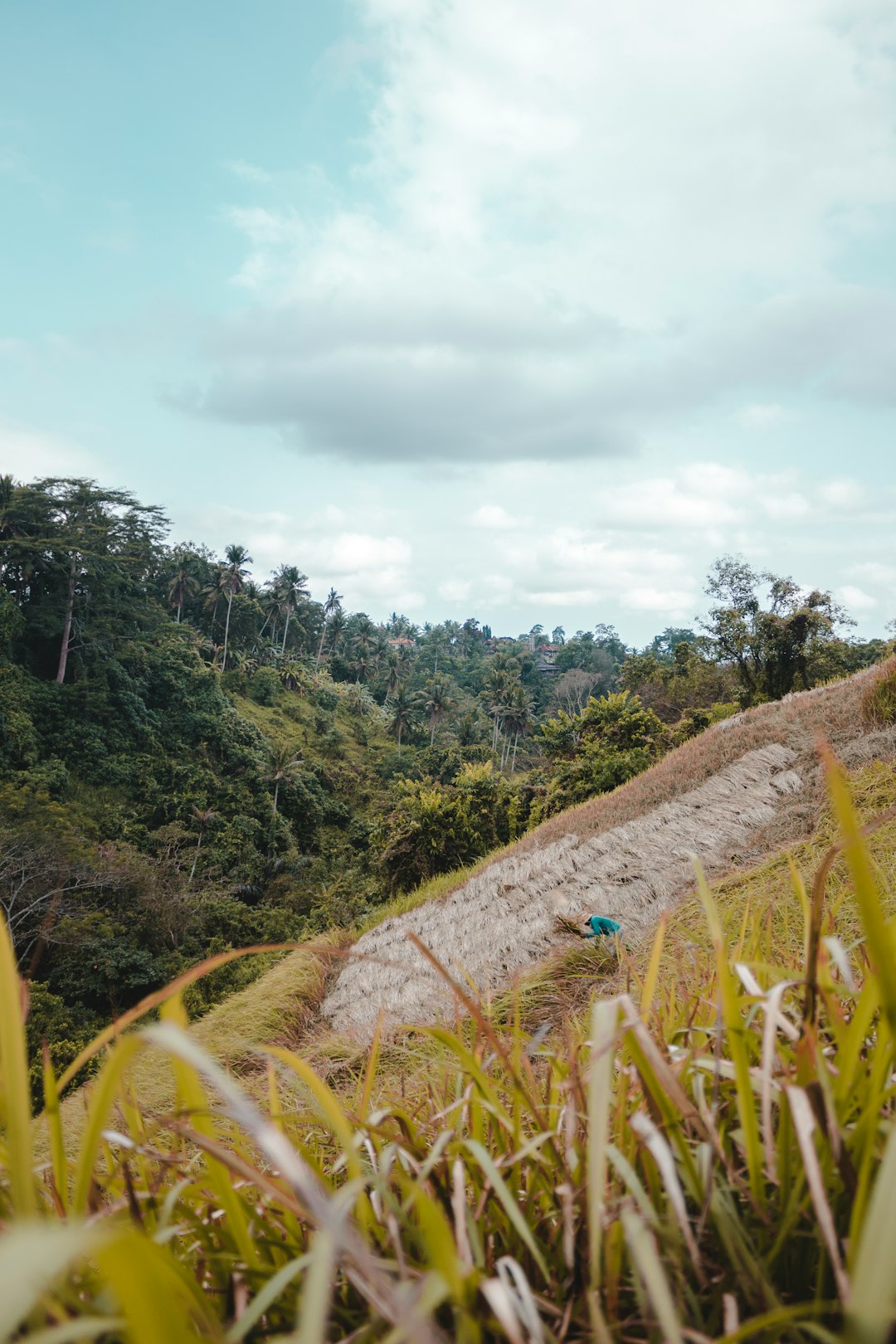travelers stories about Hill in Ubud, Indonesia