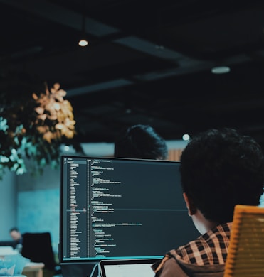 boy in front of computer monitor