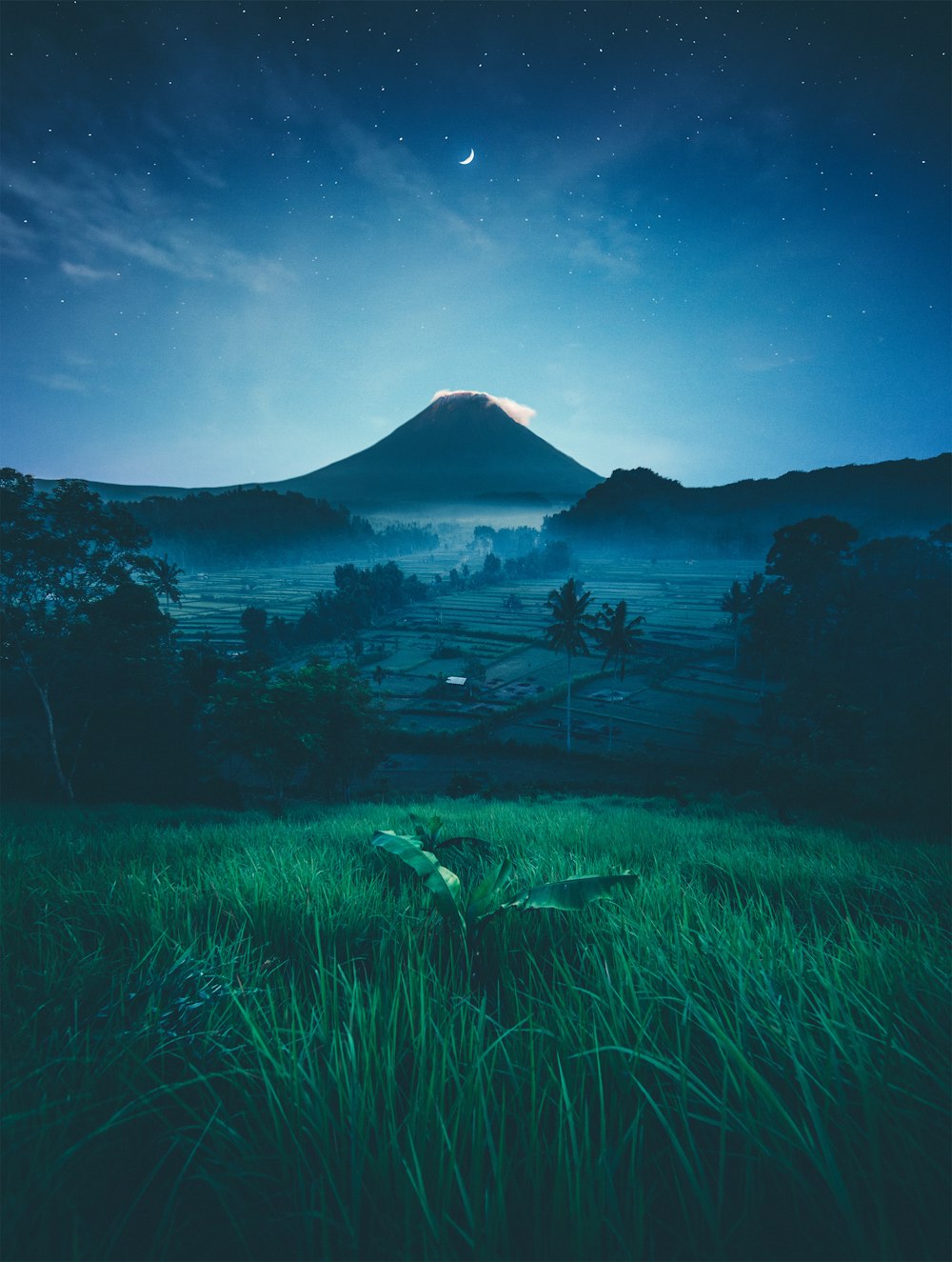 mountain near green trees at night