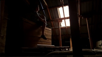 A dimly lit attic space with wooden beams and a partially visible roof letting in natural light through a small window. A person is sitting on a wooden surface, silhouetted against the light.