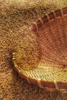 wicker basket on rice grains