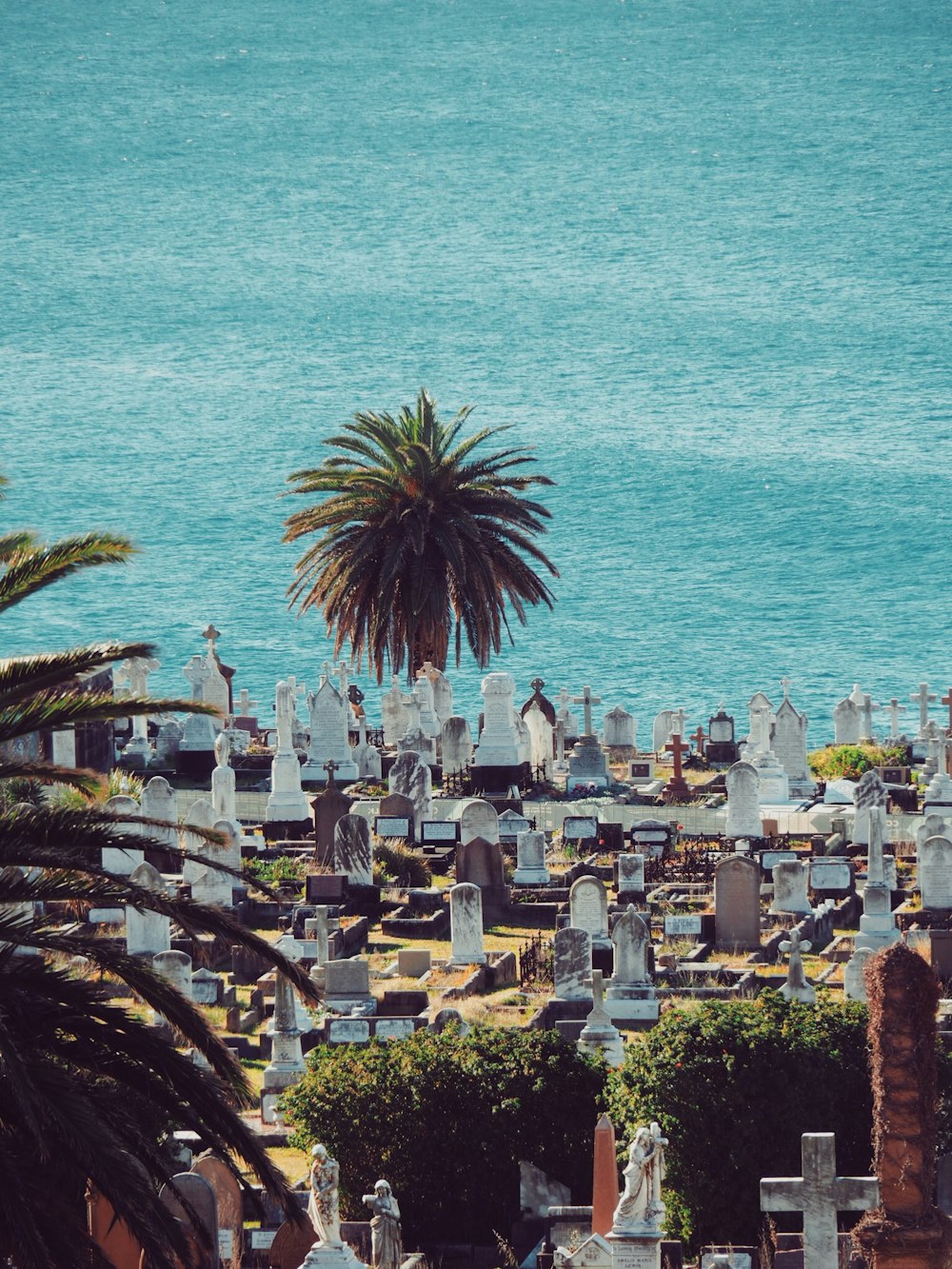 birds eye view of graveyard near body of water