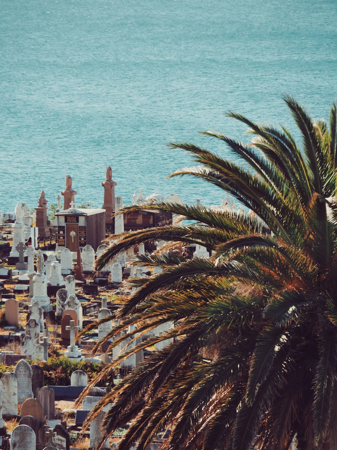 Beach photo spot Waverley Cemetery Marks Park