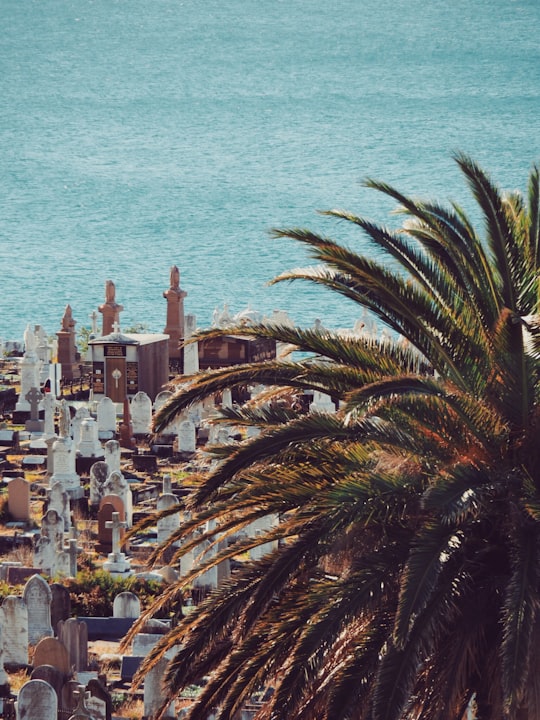 cemetery near body of water in Waverley Cemetery Australia