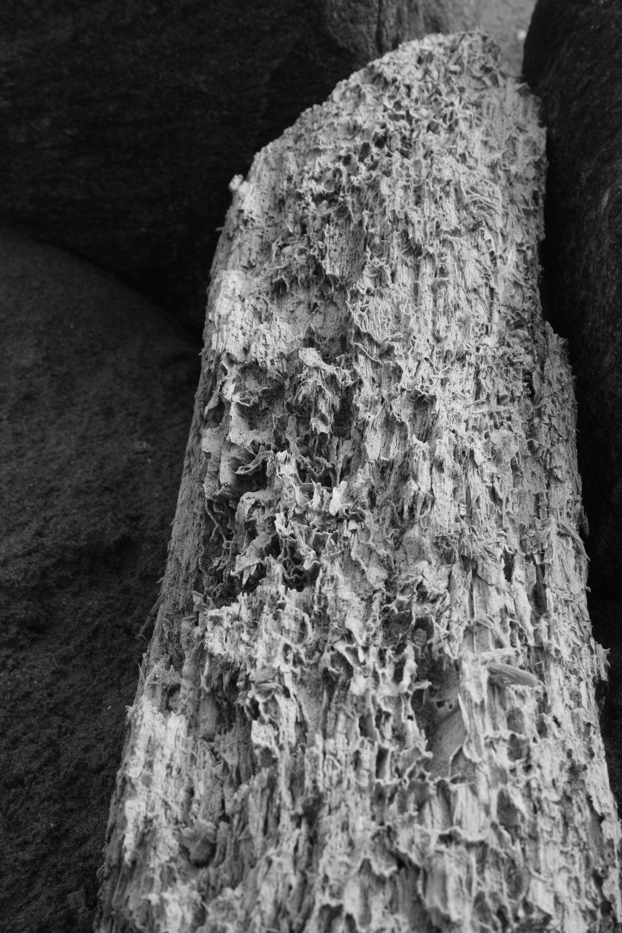 Handcrafted Celtic Driftwood