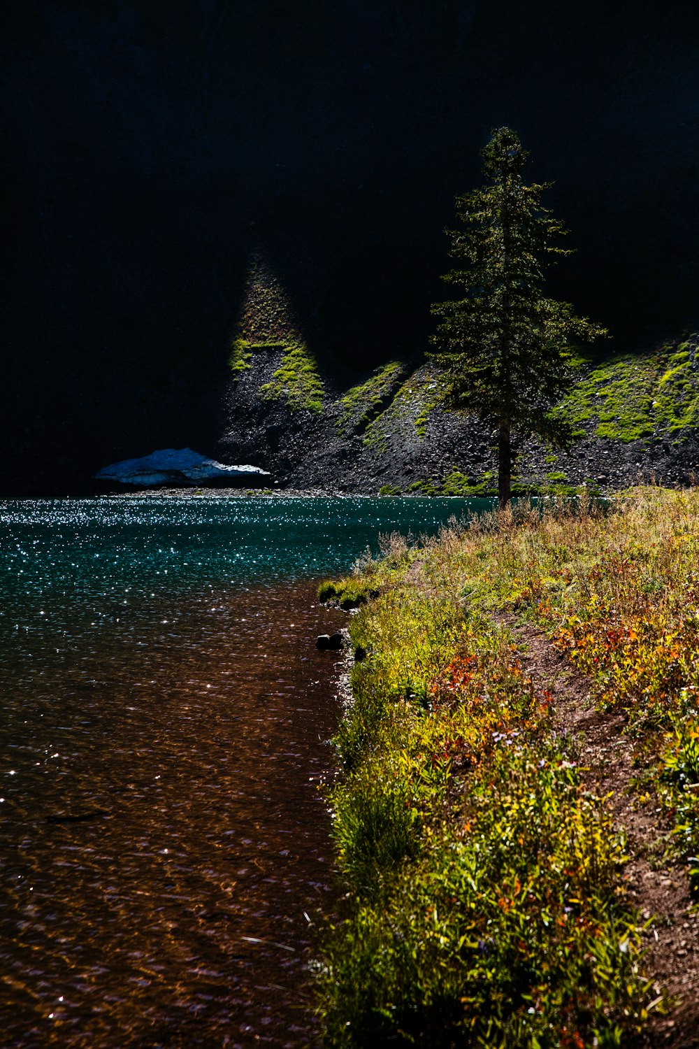 body of water near green trees during daytime