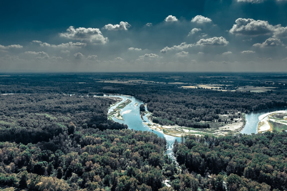 high-angle photography of trees at daytime