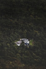 A serene estate home nestled amidst lush forest greenery, reflecting peaceful luxury.