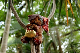 A stuffed bear wearing a detailed red and white patterned outfit and a brown hat is perched on a tree branch, surrounded by a lush green forest. The bear is holding a small golden gift bag, adding a whimsical touch to the scene.