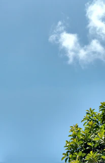 Photo of a weather app showing a clear sunny day with animated icons.