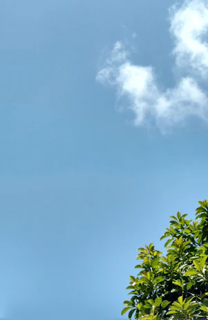 Photo of a weather app showing a clear sunny day with animated icons.