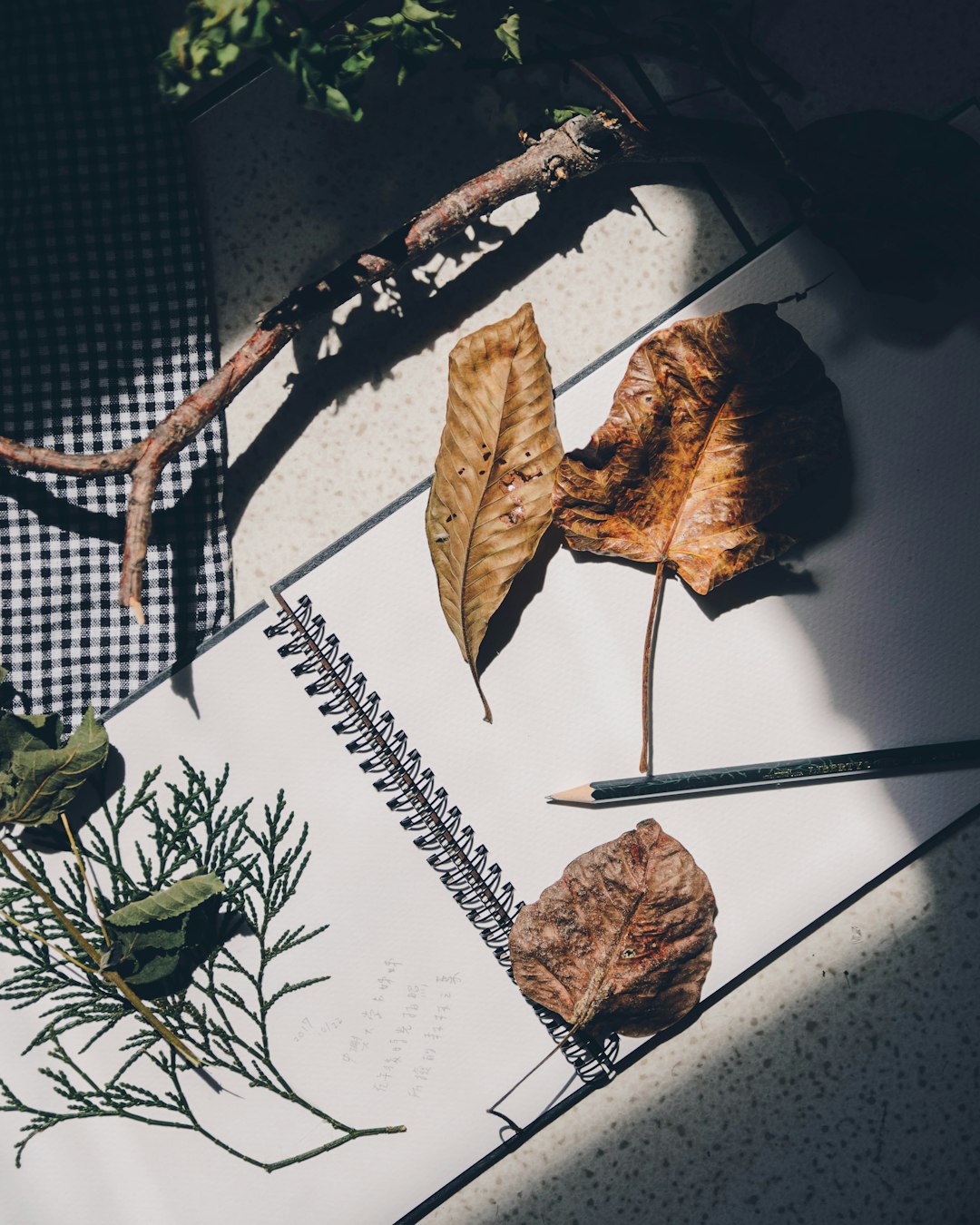 flat lay photography of dried leaf on drawing book