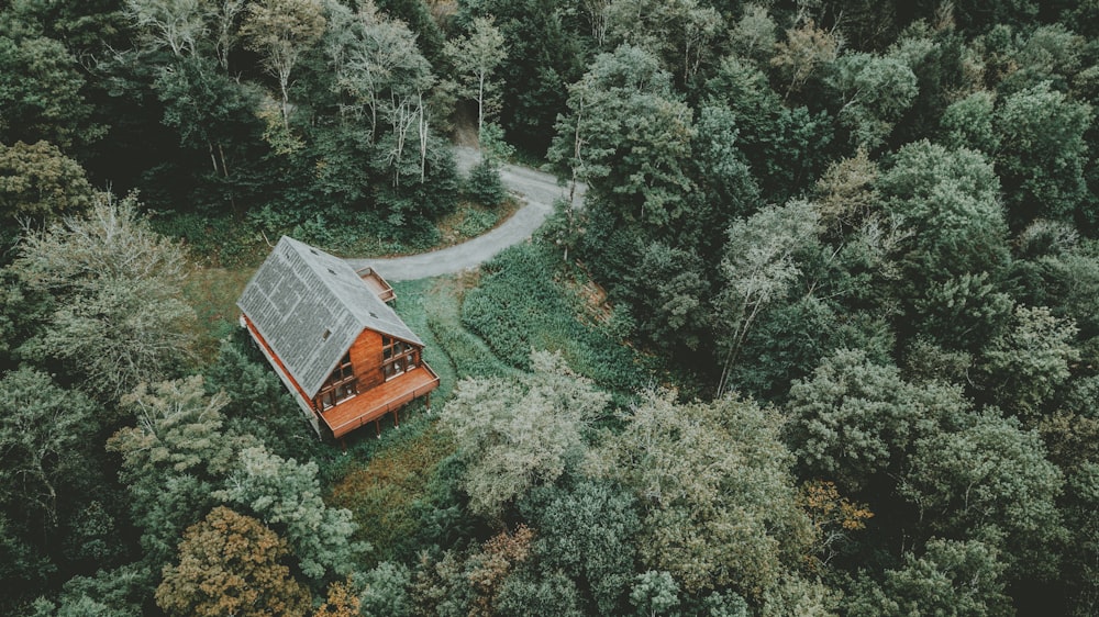 Fotografia aérea de Orange House no meio da floresta