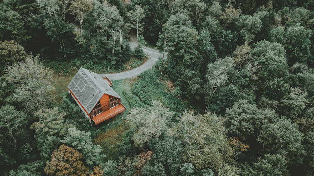aerial photography of orange house in middle of forest