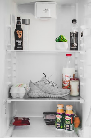Inside a refrigerator, several food and drink items are organized on the shelves. On the top shelf, there's a bottle of Guinness beer, a Voss water bottle, a black bottled drink, and a small potted succulent plant. The middle shelf unexpectedly contains a single grey sneaker, a carton of eggs, a bottle of milk, and jars of condiments. The bottom shelf includes packs of cheese or similar items and two bottles of Bio Chefir yogurt. The refrigerator interior is bright and clean.