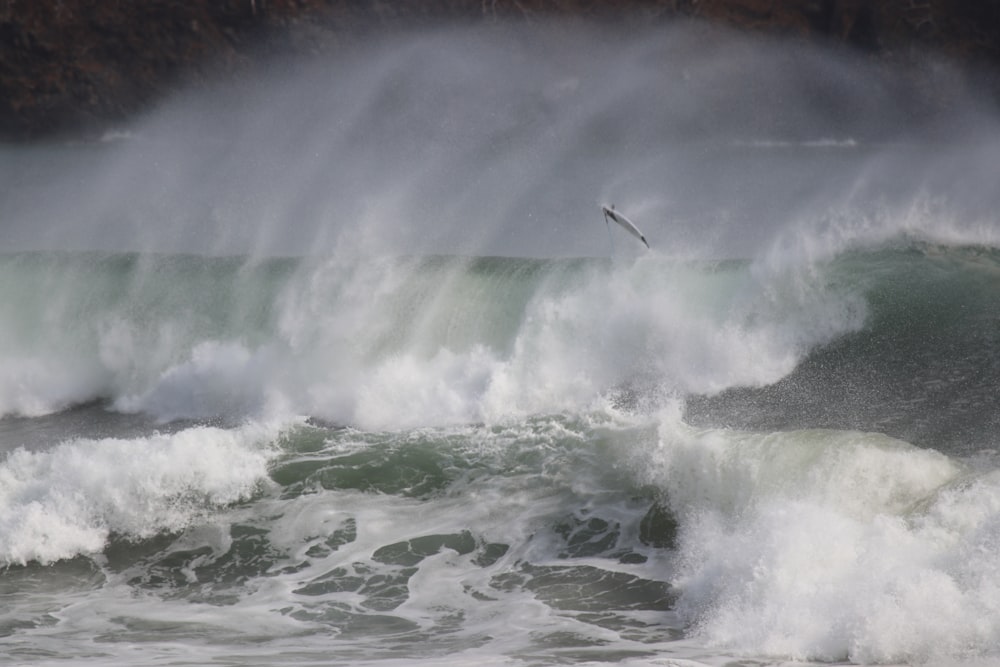 sea waves